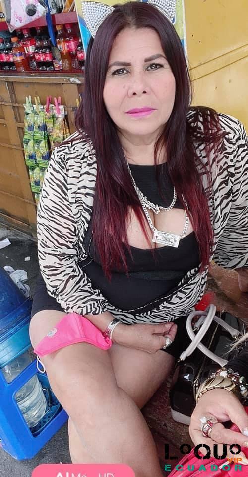 Prepagos Tungurahua: Bichota SACA LECHE SALIDAS HOTEL MUY CALIENTE