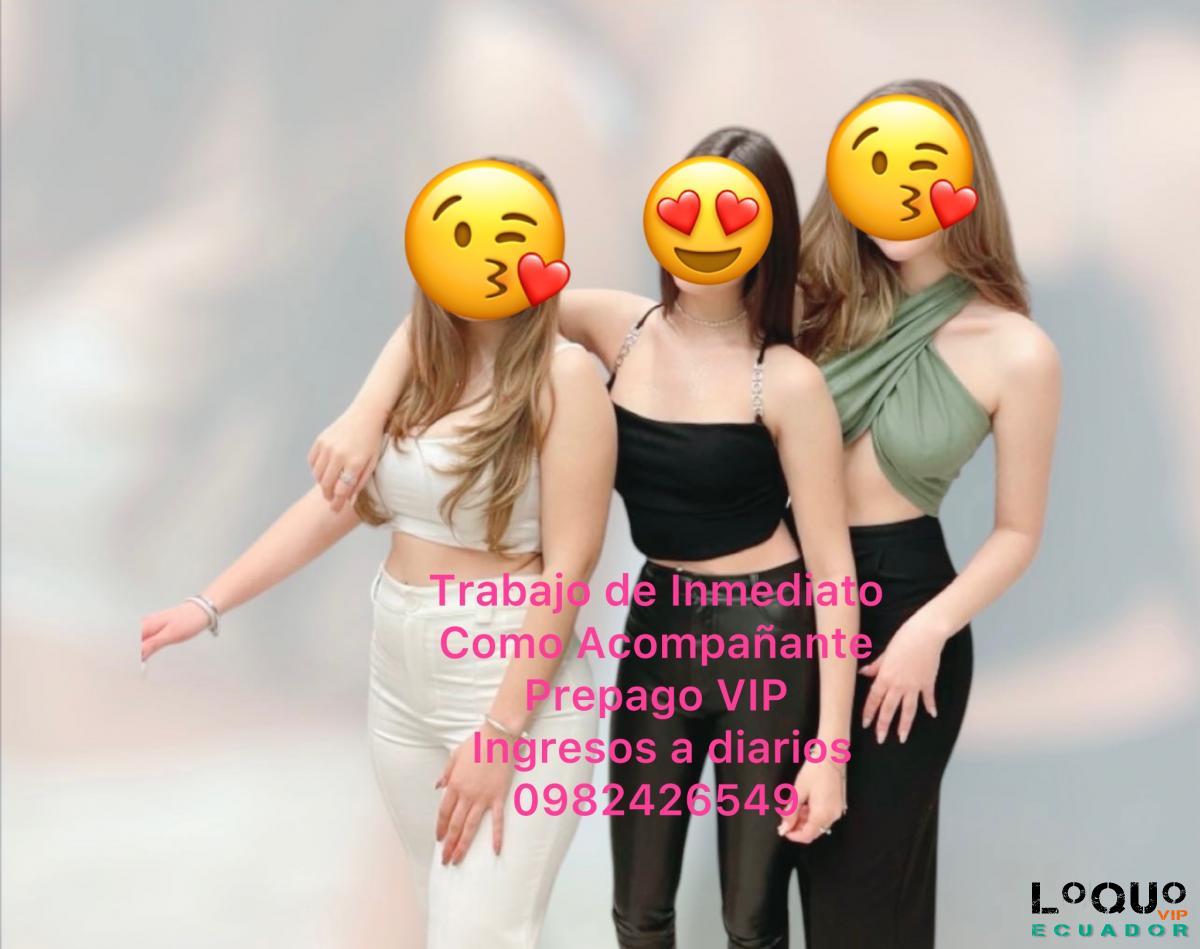 Contactos Pichincha: Trabaja como Escorts vip quito norte